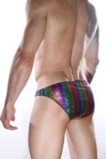 Deluxerie Sexy Herren Slip Carroll 2