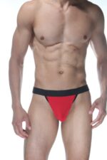 Deluxerie Sexy Herren String Chintan 3