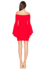 Deluxerie Mini Kleid Philly 4